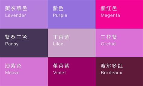 燈籠 紫色要配什麼顏色